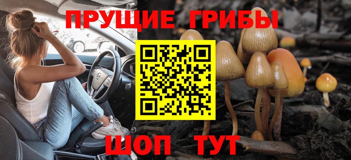 Прохладный  Псилоцибиновые грибы Cubensis  Псилоцибиновые грибы Magic Shrooms  Вход с VPN 